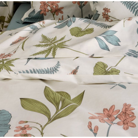 Féerie Sauge Drap plat Percale de coton - Tradilinge