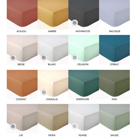 Drap Housse en PERCALE unie de Tradilinge