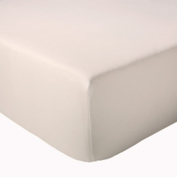 MARLOW Acier Drap housse uni beige en Percale de coton - Tradilinge